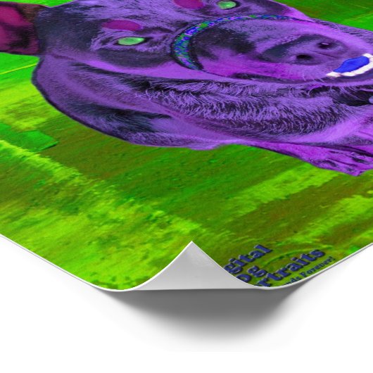 Australische Pop van rundveestapel Poster (Hoek)