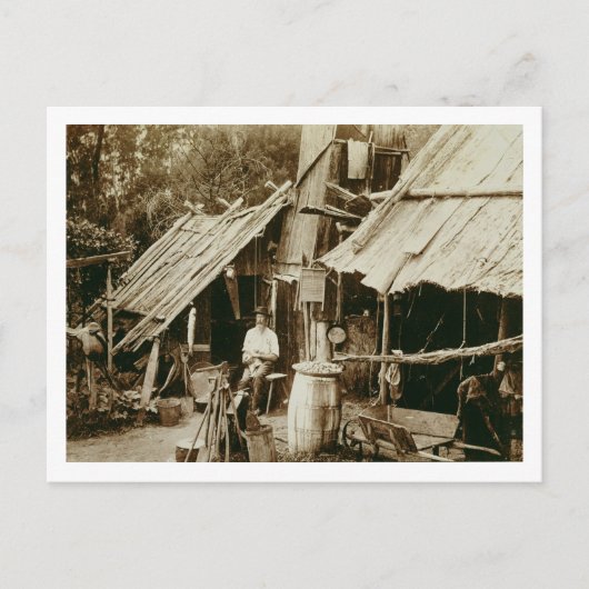 Australische prospector, c.1880s (sepia foto) briefkaart (Voorkant)