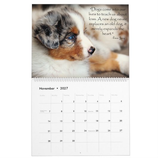 Australische Puppies Shepherd Agenda Kalender (Nov 2027)