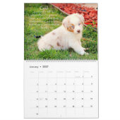 Australische Puppies Shepherd Agenda Kalender (Jan 2027)