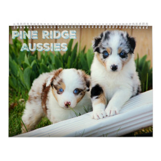 Australische Puppies van Shepherd Kalender