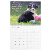 Australische Puppies van Shepherd Kalender (Mar 2026)