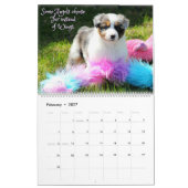 Australische Puppies van Shepherd Kalender (Feb 2027)