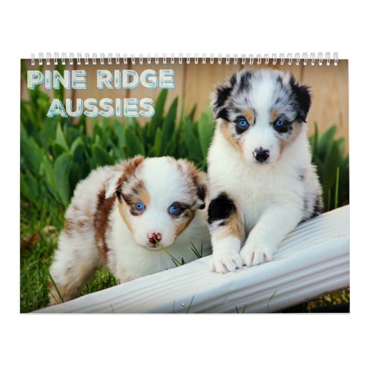 Australische Puppies van Shepherd Kalender (Hoes)