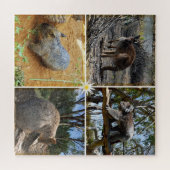 Australische Quokka, Kangoeroe, Koala, Wombat, Legpuzzel (Horizontaal)