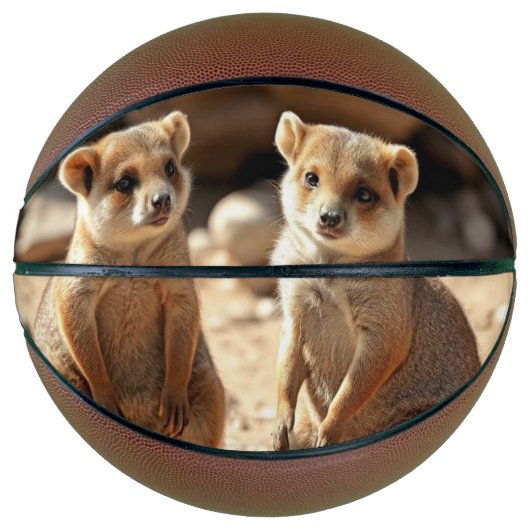 Australische Quokka Twins, Basketbal (Voorkant)