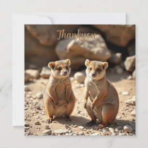Australische Quokka Twins, Bedankkaart
