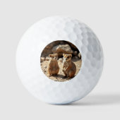 Australische Quokka Twins, Golfballen (Voorkant)
