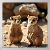Australische Quokka Twins, Poster (Voorkant)