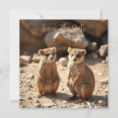 Australische Quokka Twins, Save The Date (Voorkant)