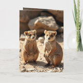Australische Quokka Twins, Verjaardagskaarten Bedankkaart (Achterkant)
