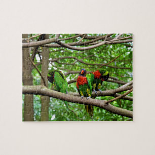 Australische regenboog Lorikeets Legpuzzel