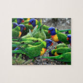 Australische regenboog Lorikeets Legpuzzel (Horizontaal)