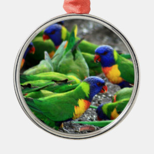 Australische regenboog Lorikeets Metalen Ornament