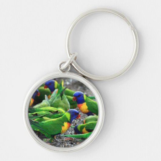 Australische regenboog Lorikeets Sleutelhanger (Voorkant)