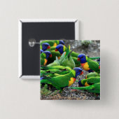 Australische regenboog Lorikeets Vierkante Button 5,1 Cm (Voorkant /achterkant)