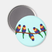 Australische regenboogloriketten magneet (Voorkant / Achterkant)