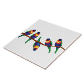 Australische regenboogloriketten tegeltje (Zijkant)