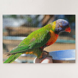 Australische regenboogloriketvogel legpuzzel