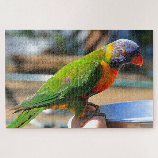 Australische regenboogloriketvogel legpuzzel (Horizontaal)