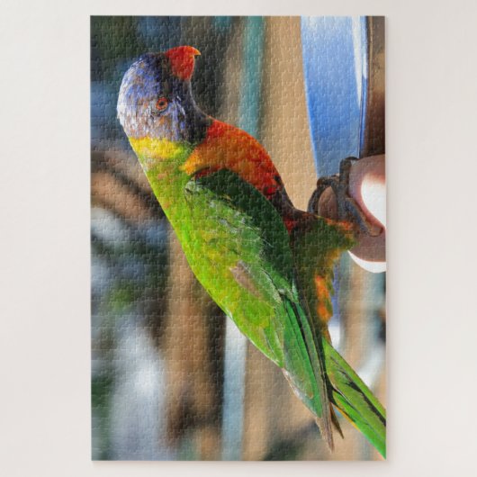 Australische regenboogloriketvogel legpuzzel (Verticaal)