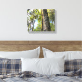 Australische regenwouden Eucalyptus Gum Trees Canvas Afdruk (Insitu (Slaapkamer))