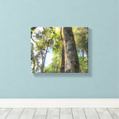 Australische regenwouden Eucalyptus Gum Trees Canvas Afdruk (Insitu (Houten vloer))