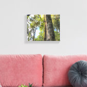 Australische regenwouden Eucalyptus Gum Trees Canvas Afdruk (Insitu (Woonkamer))