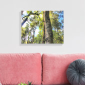 Australische regenwouden Eucalyptus Gum Trees Canvas Afdruk (Insitu (Woonkamer))