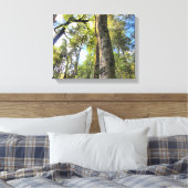 Australische regenwouden Eucalyptus Gum Trees Canvas Afdruk (Insitu (Slaapkamer))