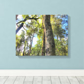Australische regenwouden Eucalyptus Gum Trees Canvas Afdruk (Insitu (Houten vloer))