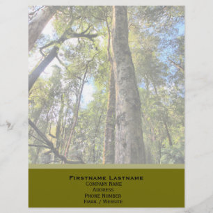 Australische regenwouden Eucalyptus Gum Trees Custom Briefhoofd
