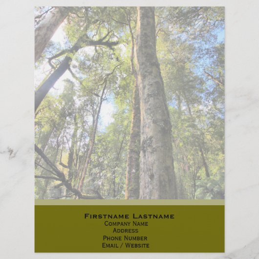 Australische regenwouden Eucalyptus Gum Trees Custom Briefhoofd (Voorkant)