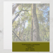 Australische regenwouden Eucalyptus Gum Trees Custom Briefhoofd (Voorkant / Achterkant)