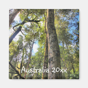 Australische regenwouden Eucalyptus Gum Trees Magneet