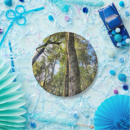 Australische regenwouden Eucalyptus Gum Trees Papieren Bordje (Feest)