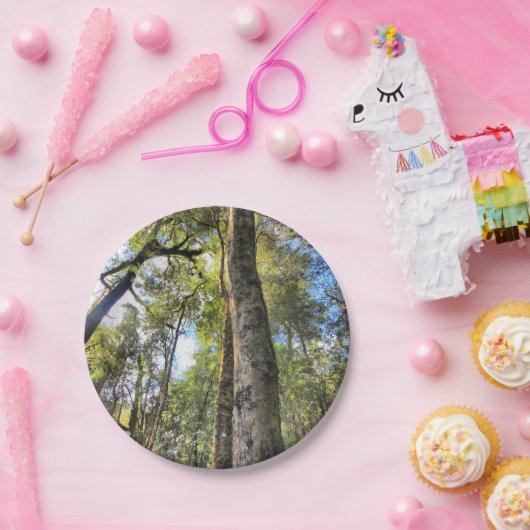 Australische regenwouden Eucalyptus Gum Trees Papieren Bordje (Feest)