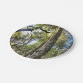 Australische regenwouden Eucalyptus Gum Trees Papieren Bordje (Gekanteld)