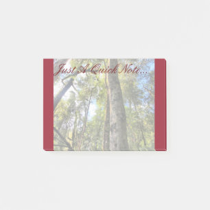 Australische regenwouden Eucalyptus Gum Trees Post-it® Notes