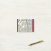 Australische regenwouden Eucalyptus Gum Trees Post-it® Notes (Op bureau)