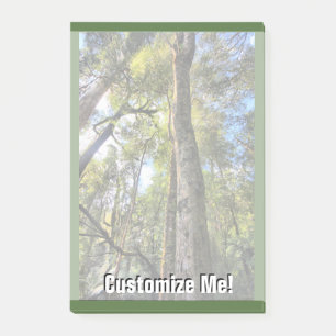 Australische regenwouden Eucalyptus Gum Trees Post-it® Notes