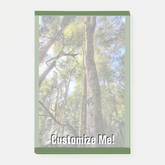 Australische regenwouden Eucalyptus Gum Trees Post-it® Notes (Voorkant)