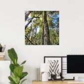Australische regenwouden Eucalyptus Gum Trees Poster (Thuiskantoor)