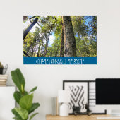 Australische regenwouden Eucalyptus Gum Trees Poster (Thuiskantoor)