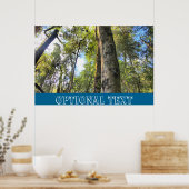 Australische regenwouden Eucalyptus Gum Trees Poster (Keuken)