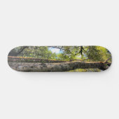 Australische regenwouden Eucalyptus Gum Trees Skateboard (Horizontaal)