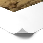 Australische Reisposter, Daintree, QLD Poster (Hoek)