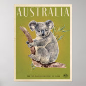 Australische reisposter Koala Poster (Voorkant)