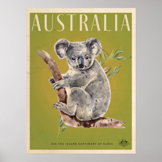 Australische reisposter Koala Poster (Voorkant)