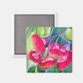 Australische rode bloeiende waterverf magneet (Voorkant / Achterkant)